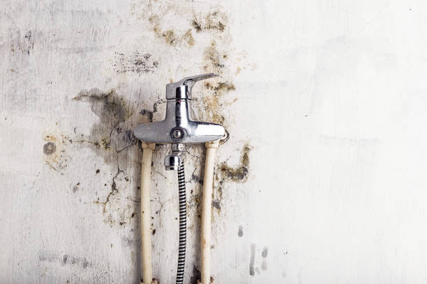 Mold Removal Process in Lakemont, PA